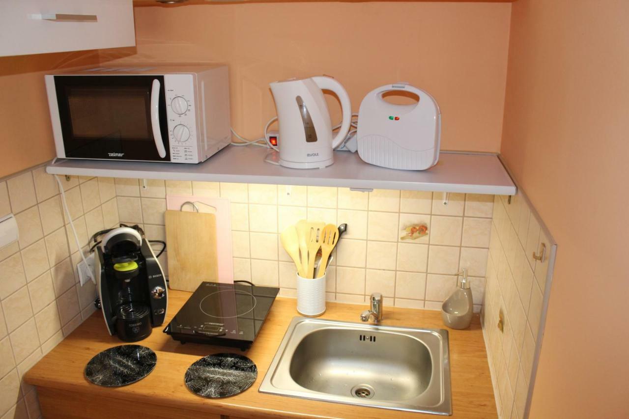 Kameralny- De Luxe Z Oddzielnym Wejsciem Apartment *